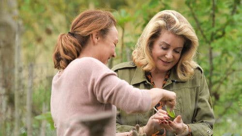 Ein Kuss von Béatrice Bild 2