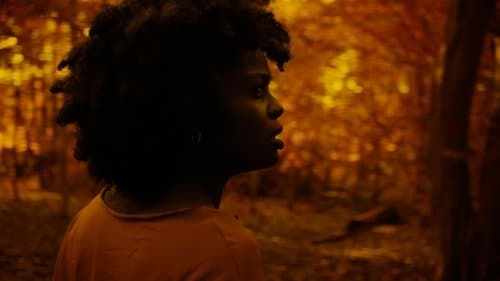 A Song from the Dark Bild 1