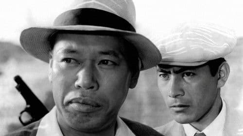 Ein streunender Hund Bild 4