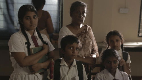 දැවෙන විහඟුන් Bild 3