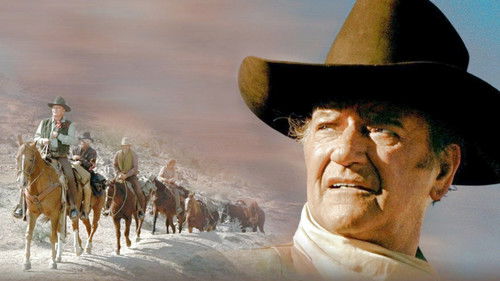 Geier kennen kein Erbarmen Bild 7