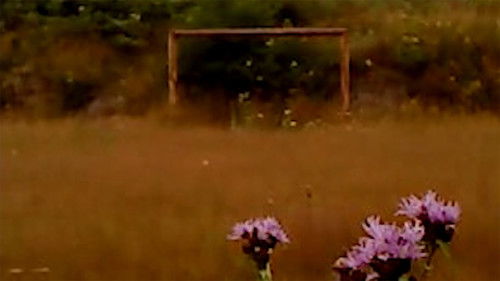 ხმელი ფოთოლი Bild 5