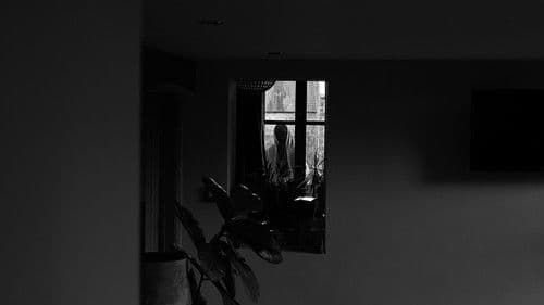 There's A Ghost In My House Bild 1