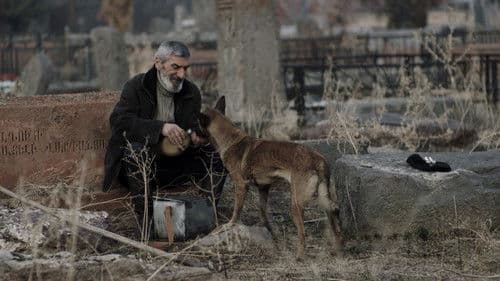 Հիմնավոր մաքրություն Bild 4