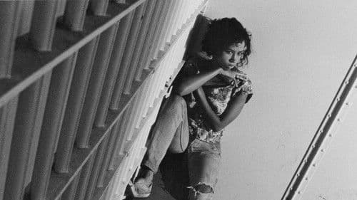 Tennessee Nights Bild 6