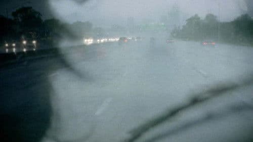 The Brown Bunny Bild 3