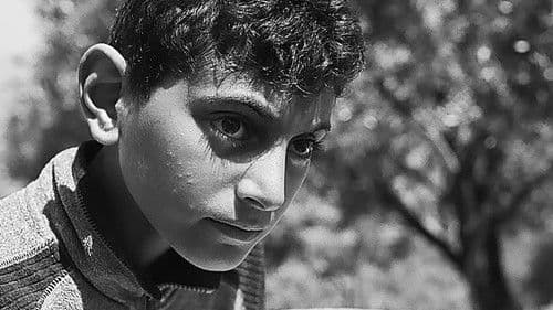 Todos vós sodes capitáns Bild 1