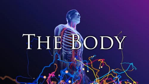The Body Bild 1
