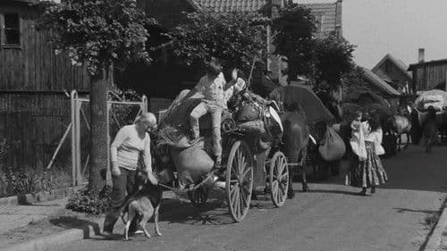 Podróż za jeden uśmiech Bild 5