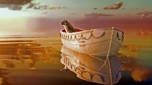 Life of Pi - Schiffbruch mit Tiger Bild 3