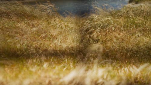 A Place to Hide Bild 7