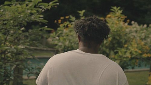 Summer Solstice Bild 1