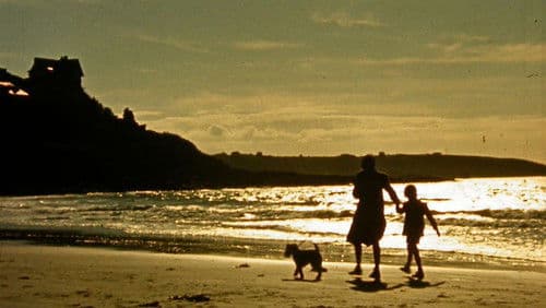 1939, Un Dernier Été Bild 1