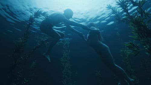 Dogs don't wear Pants Bild 4