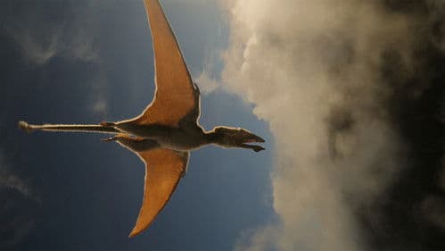 Die Dinosaurier Bild 6