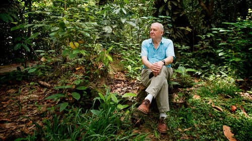 Attenborough: 60 Years in the Wild Bild 1