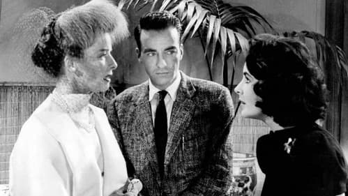 Plötzlich im letzten Sommer Bild 3