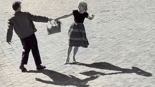 Šķēps un roze Bild 1