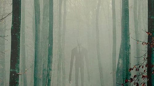 The Slender Man Bild 1