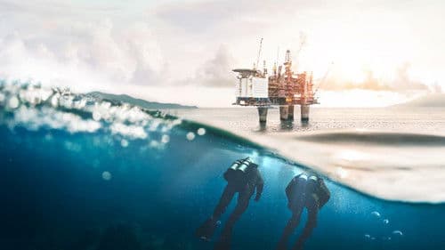 State of Happiness Bild 3