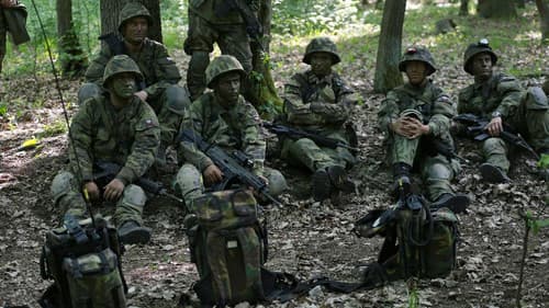 Provedu! Přijímač Bild 3