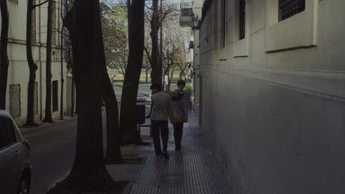 Simon The Whale Bild 4