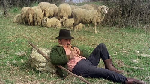 Amori, letti e tradimenti Bild 6