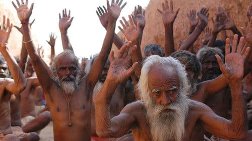 Der Schrei der Ameisen Bild 1