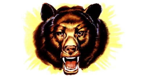 Im Lande der Bären Bild 3