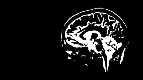 Jan Jaap van der Wal: Onderbewust Bild 1