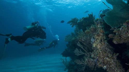 Geheimnisvolle Tiefen Bild 2