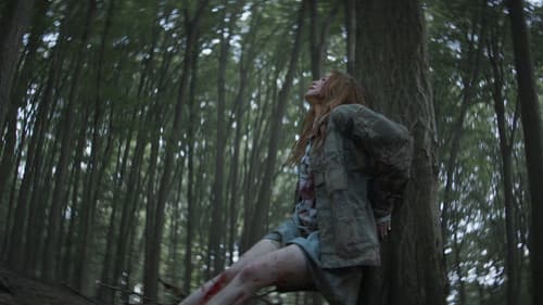 The Strangers: Chapter 2 Bild 8