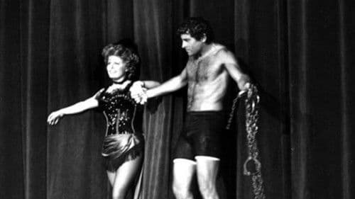 Die großen Houdinis Bild 1