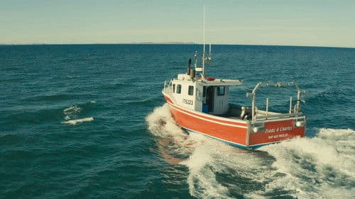 La course folle Bild 1