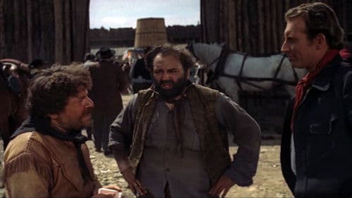 Die 7 aus Texas Bild 2