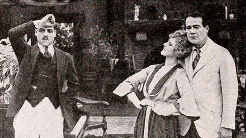 Saving the Family Name Bild 1