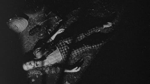 Bugs Without Morals Bild 2