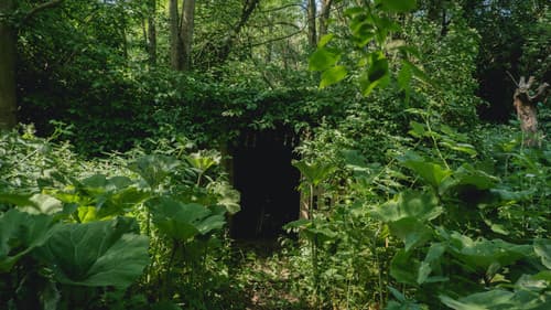 Behind The Garden Gate Bild 2