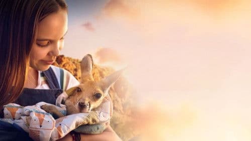 Lilly und die Kängurus Bild 3