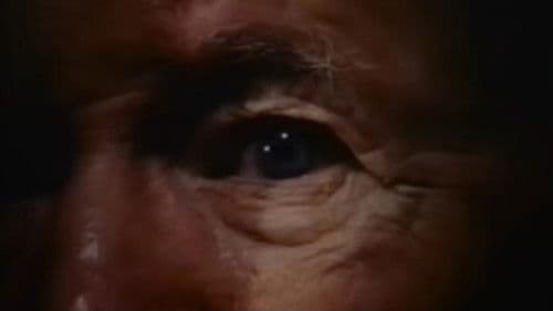 Home for the Holidays Bild 5