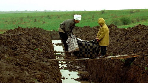 Lampa cu căciulă Bild 1