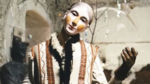 Vtáčkovia, siroty a blázni Bild 8