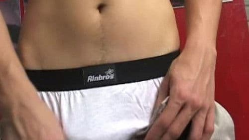 The Bulls of Guadalajara 4 Bild 1