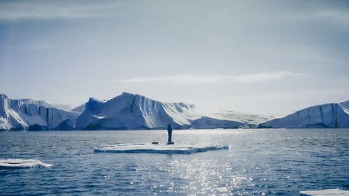 The Drift - Gnadenlose Arktis Bild 6