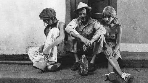 Dixie Dynamite Bild 1