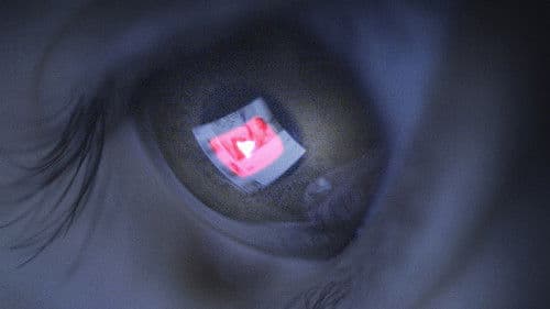 The YouTube Effect Bild 4