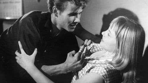 Die Halbstarken Bild 3