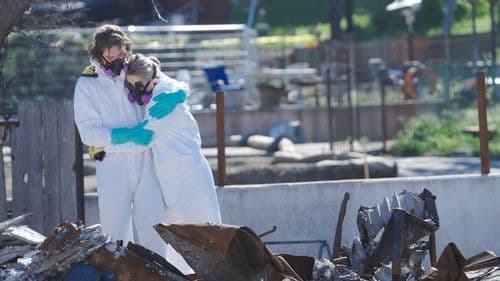 All the Walls Came Down Bild 1