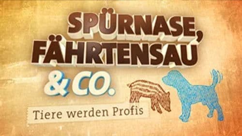 Spürnase, Fährtensau & Co. Bild 1