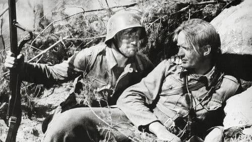 Tuntematon sotilas Bild 1